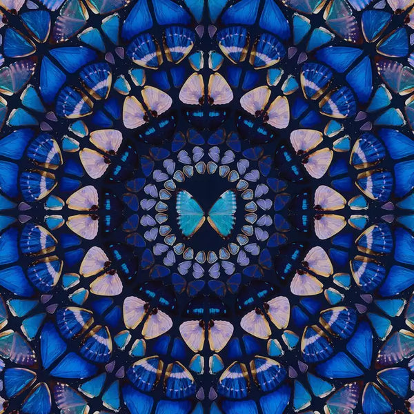 Damien Hirst