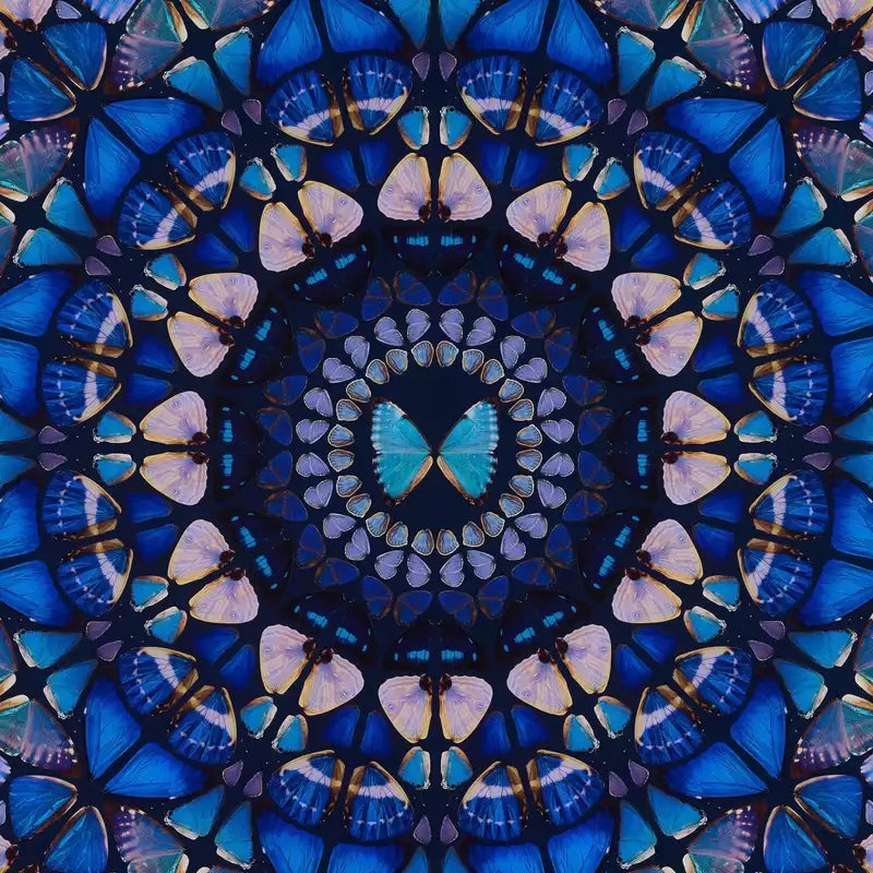 Damien Hirst